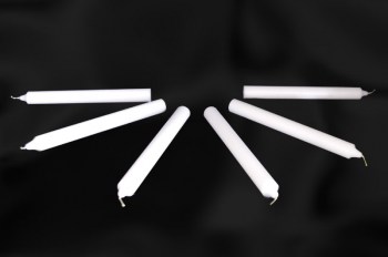 palm1